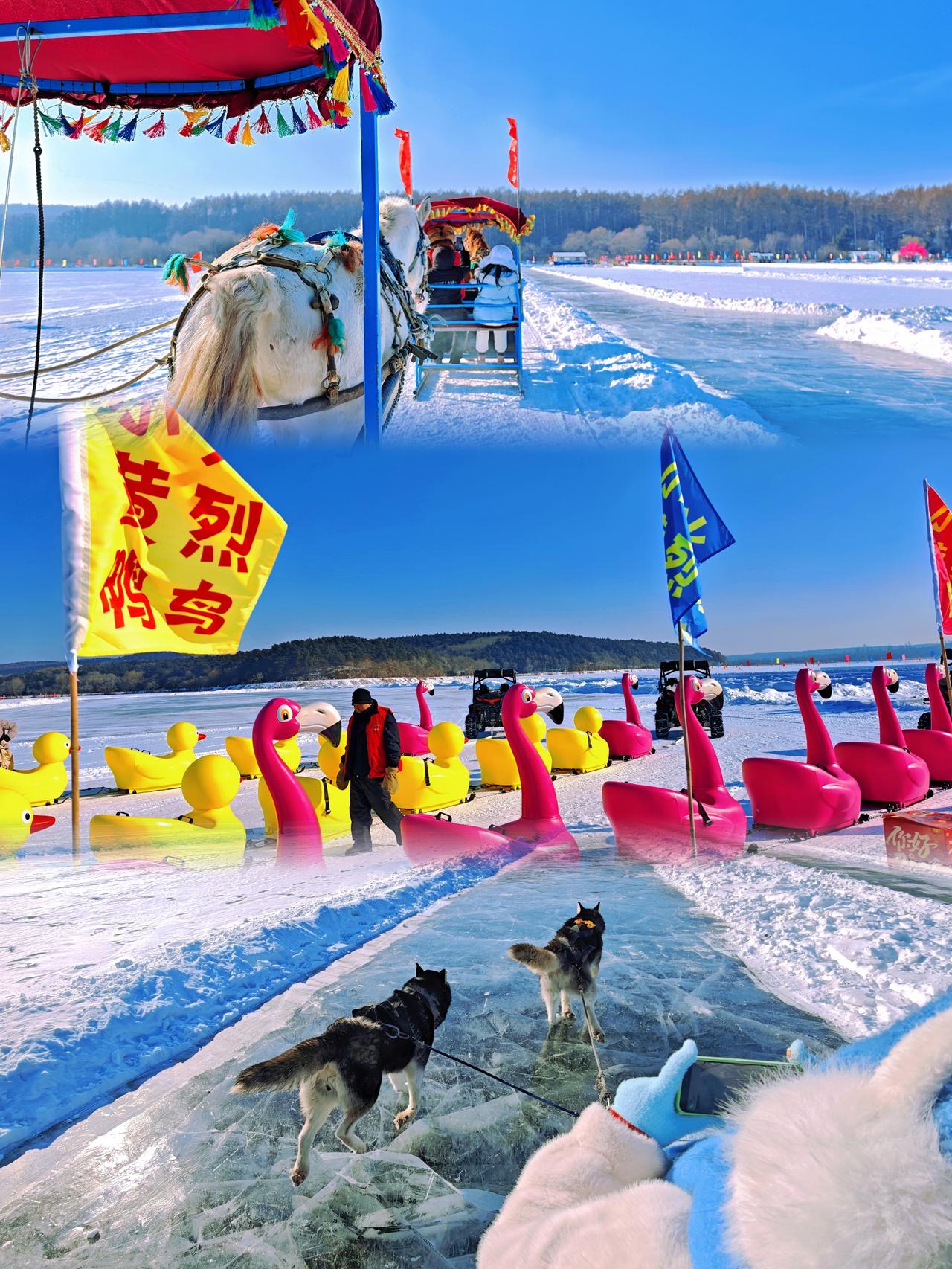 【冰雪童话净月潭：粉雪狂欢与梦幻冰境，20+冬日奇遇等你开启！】醉美春城热雪沸腾
