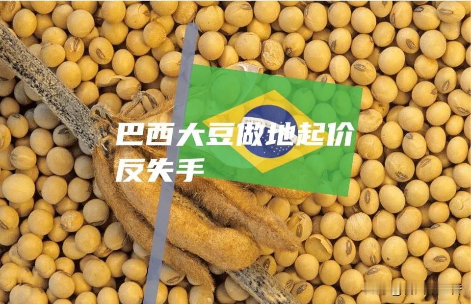 巴西大豆握着中国70%以上的进口份额，竟想趁势坐地起价。今年9月，巴西93%的大
