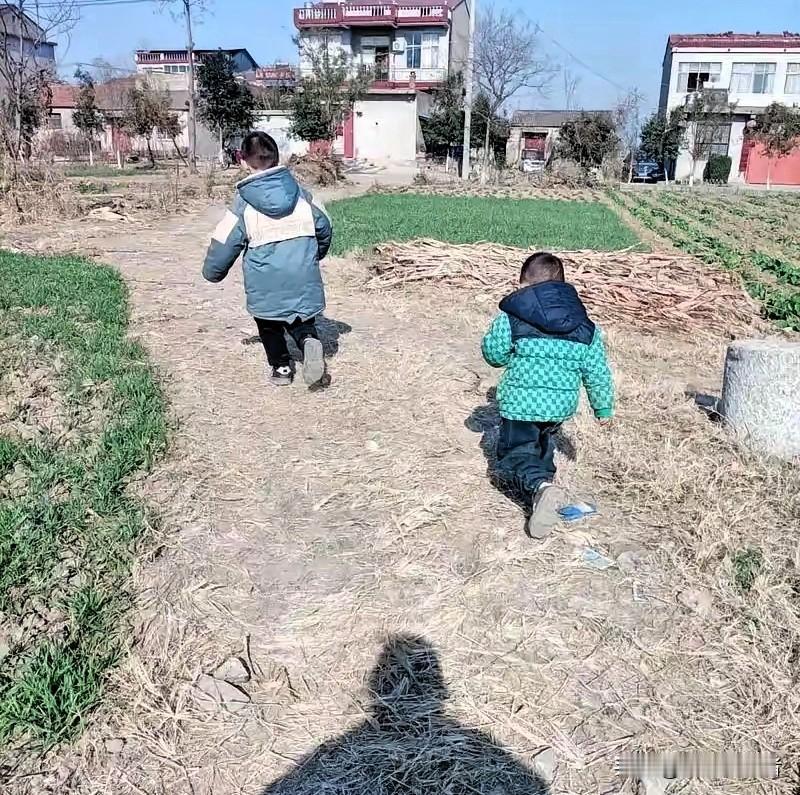 “悲剧还是发生了！”56岁女子，带着3岁和2岁的孙子上山挖红薯，然后让2岁的孙子