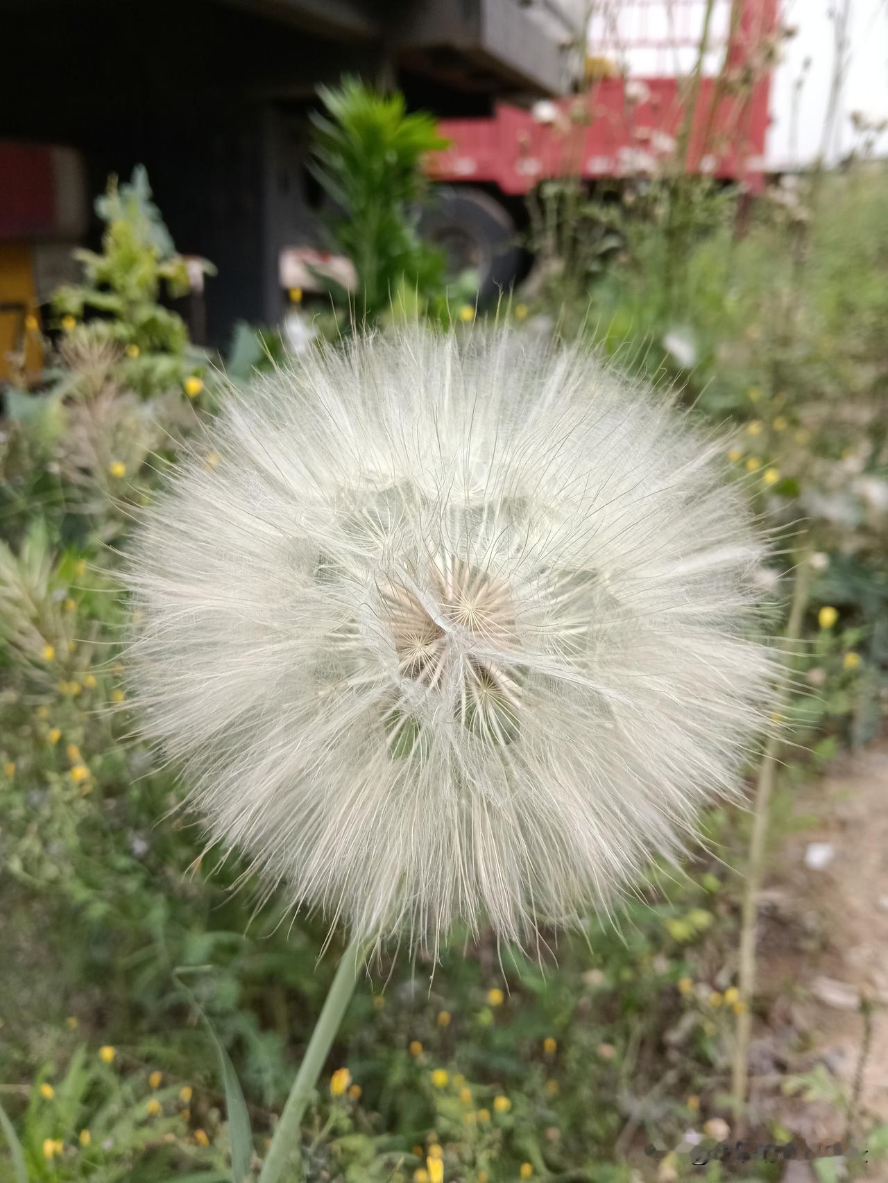 社会的一个怪象：
比吃穿，比房子，
比相貌，比车子，就是不比
人品，善良，修养，
