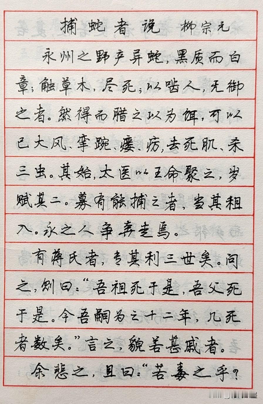 #李文采#，李文采，钢笔书法，摘自《古文名篇钢笔字帖》篇段分享