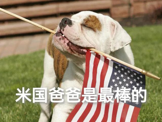 大家注意！自从我们的六代隐身战斗机试飞，“四川舰”下水后，各路舔狗洋奴蠢蠢欲动，