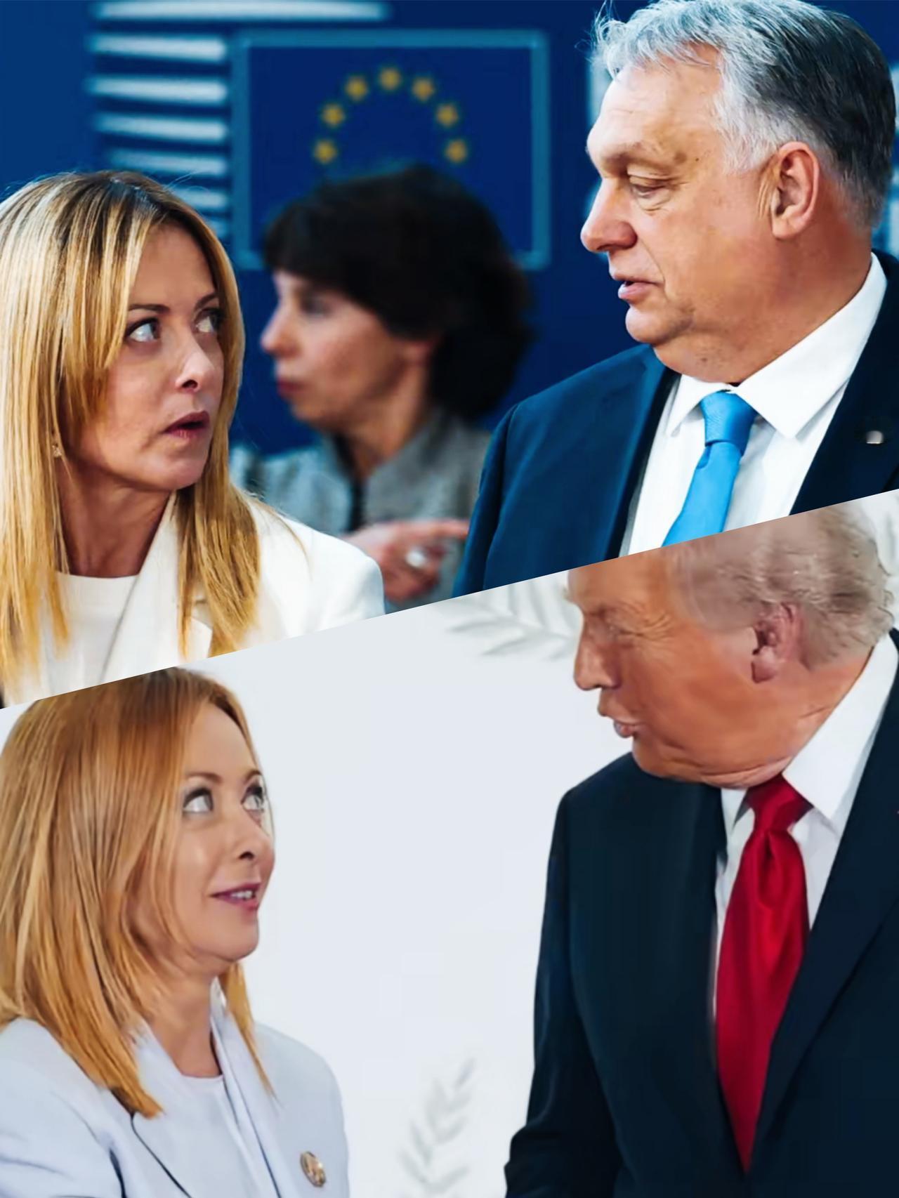 梅洛尼面对特朗普和欧尔班时，类似相同的眼神，各自代表了什么意思呢？
梅洛尼看向特