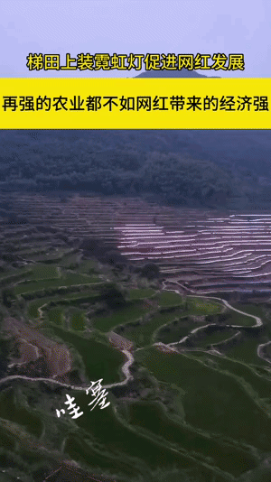 给梯田装上霓虹灯？带动旅游网红打卡，当地百姓卖东西不比种田收入高吗？真的是这样吗