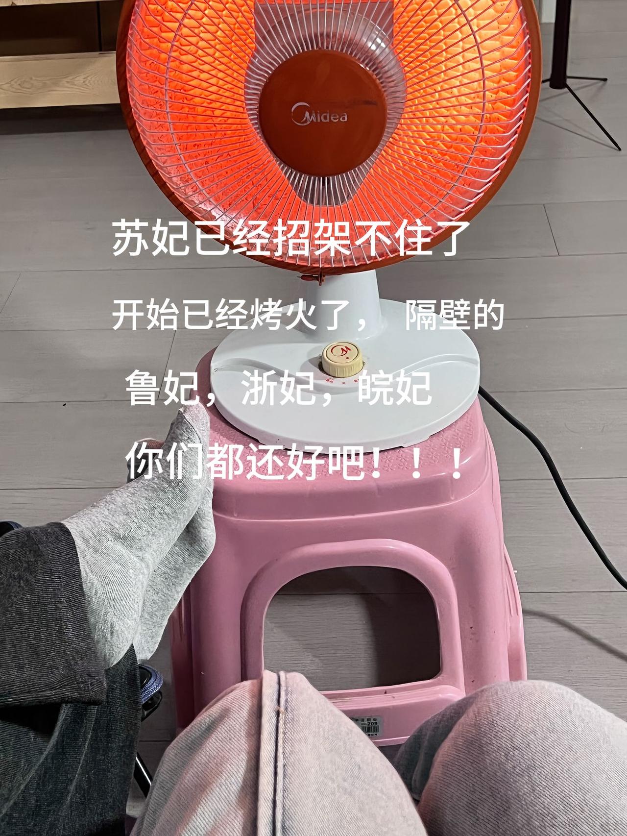 被南方的冬天狠狠拿捏了！苏妃已架起小太阳烤火，鲁妃、浙妃、皖妃们，你们那边的降温