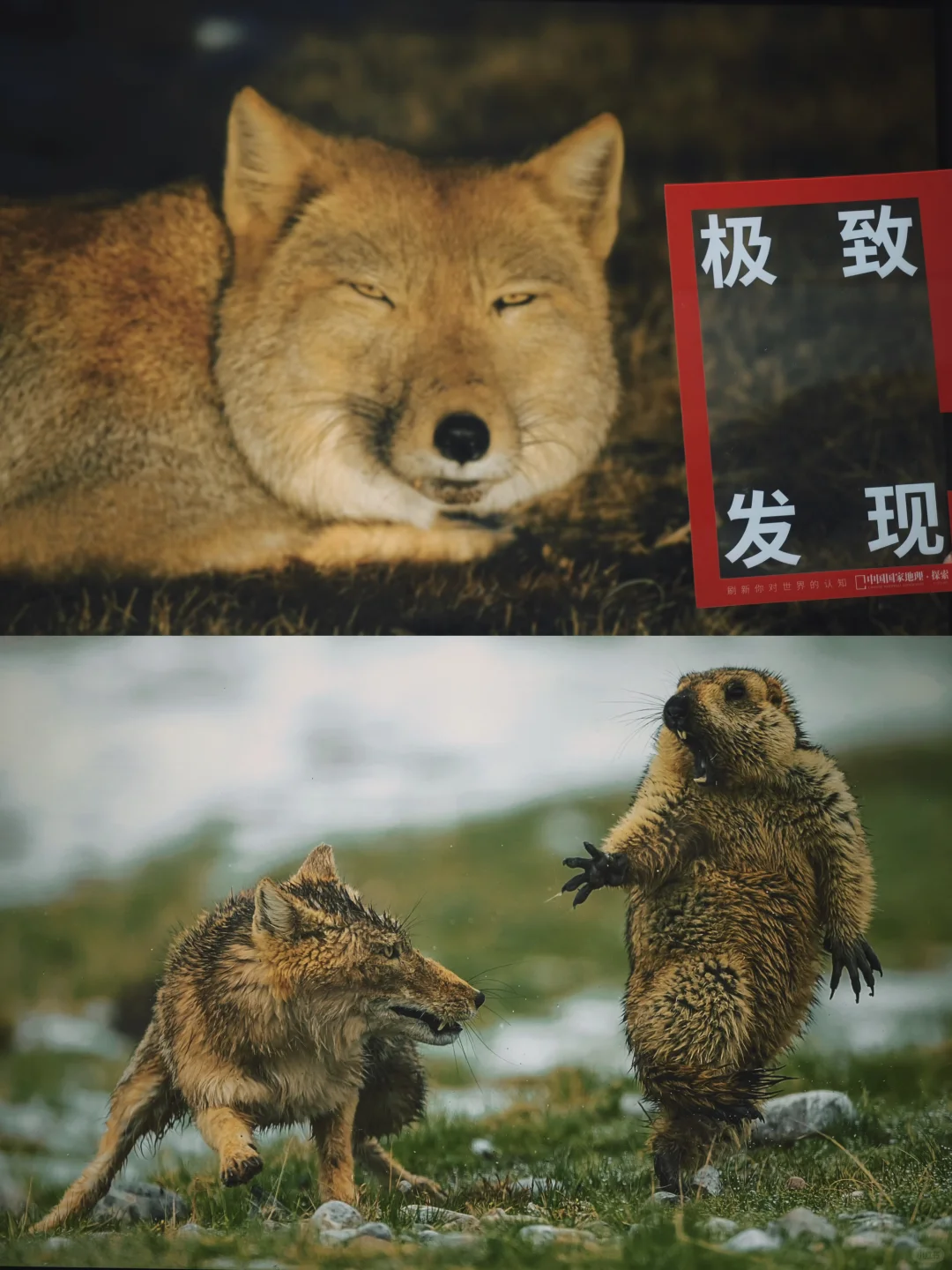 走进中国Discovery了解中国摄影大神的故事