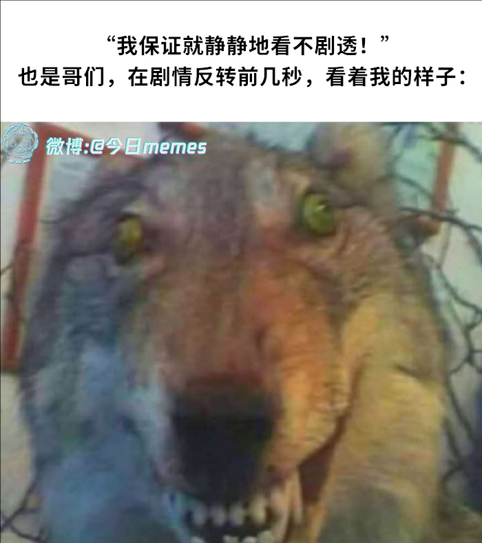 哎嘿（9gag）今日meme[超话] 今日memes ​​​