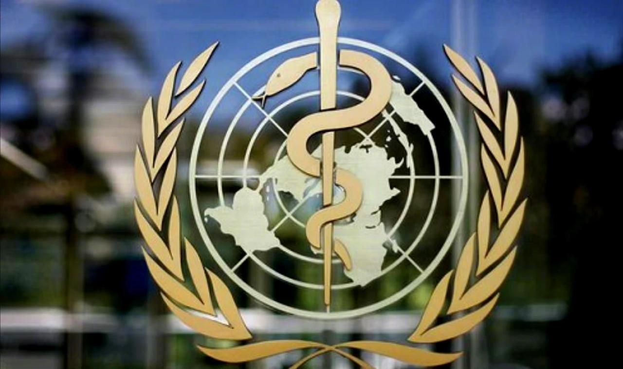 每年的世卫组织大会，台当局总是会与某些域外势力进行勾结，企图以所谓“观察员”的身