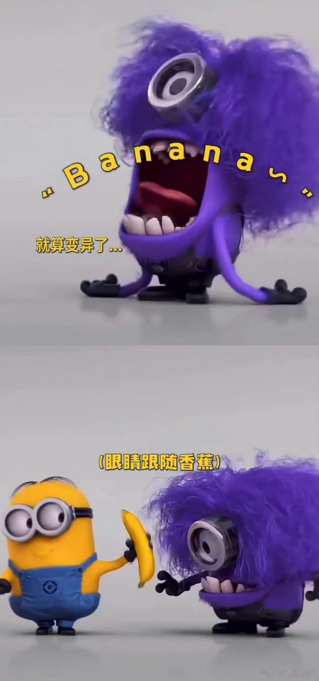小黄人全世界最尊重香蕉之人香蕉贯穿小黄人全系列剧情，是他们最高级别的快乐源泉。得