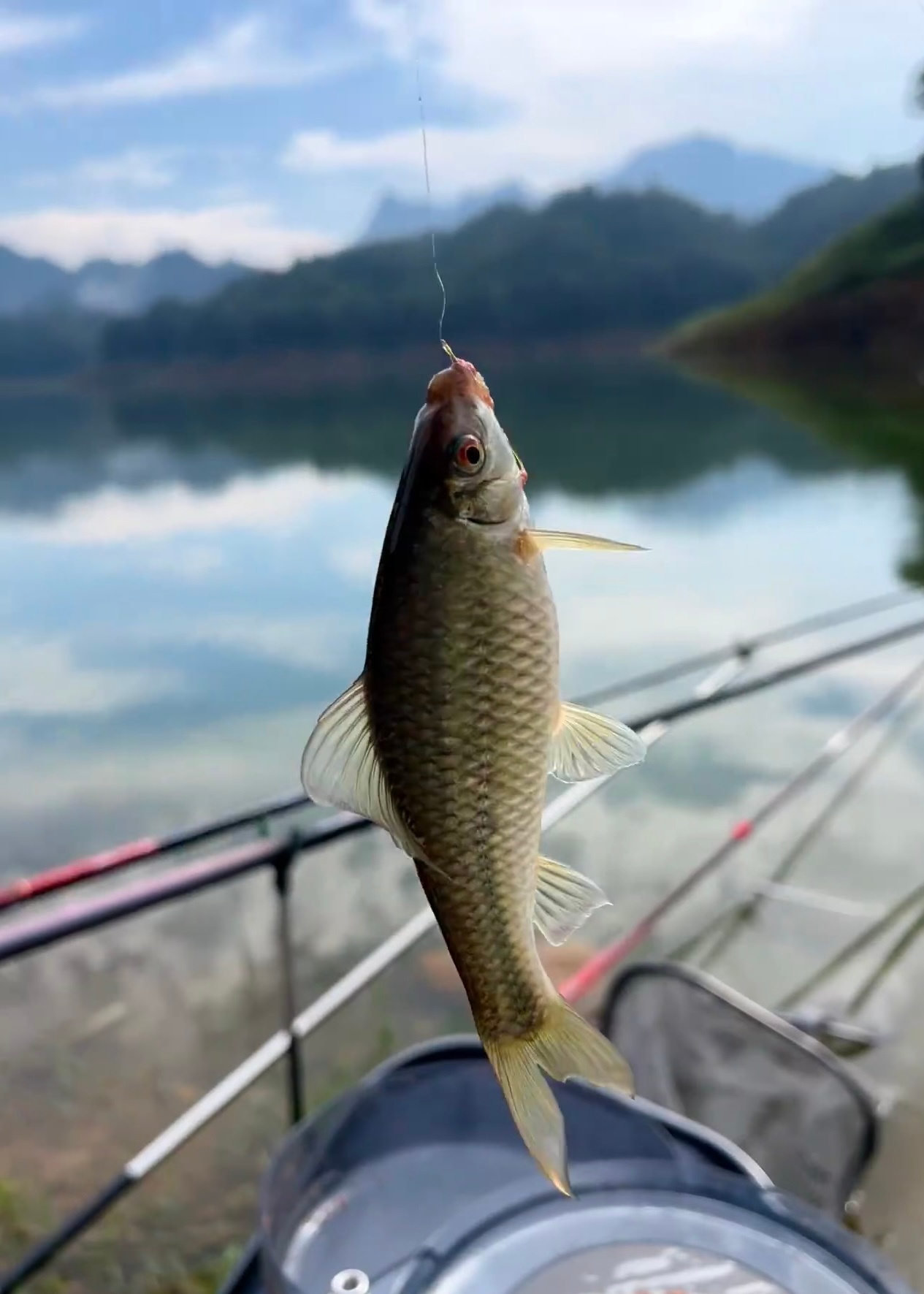 野钓欲写茶诗三百首，赊来风月伴浮生。扁舟不系随潮去，一蓑一竿钓乾坤。玄明子诗词集