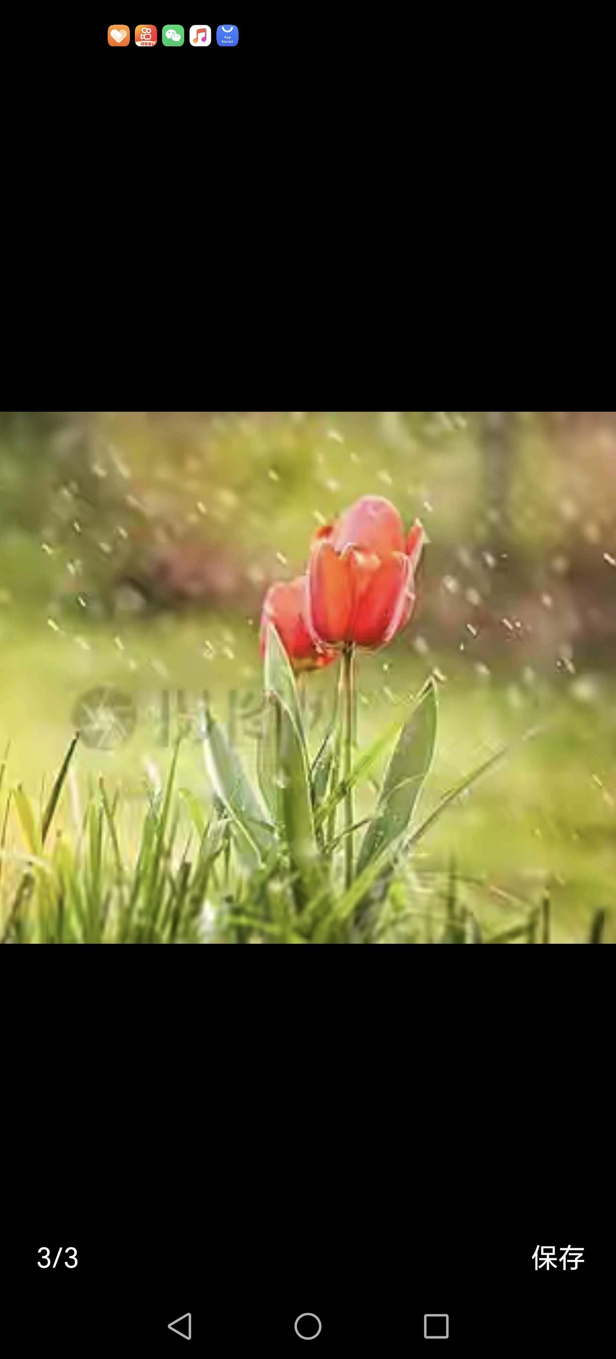 尊严的传承

宴会大厅内，灯火辉煌，笑语欢声，宾客们举杯畅饮，沉浸在这场精致奢华