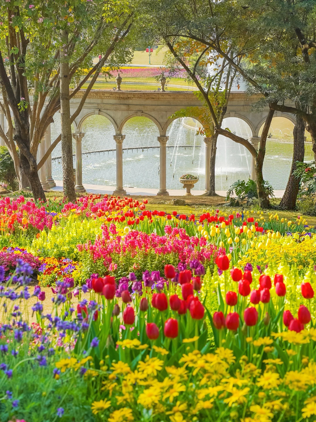 接下来的广州是万次的春和景明❗️❗️❗️