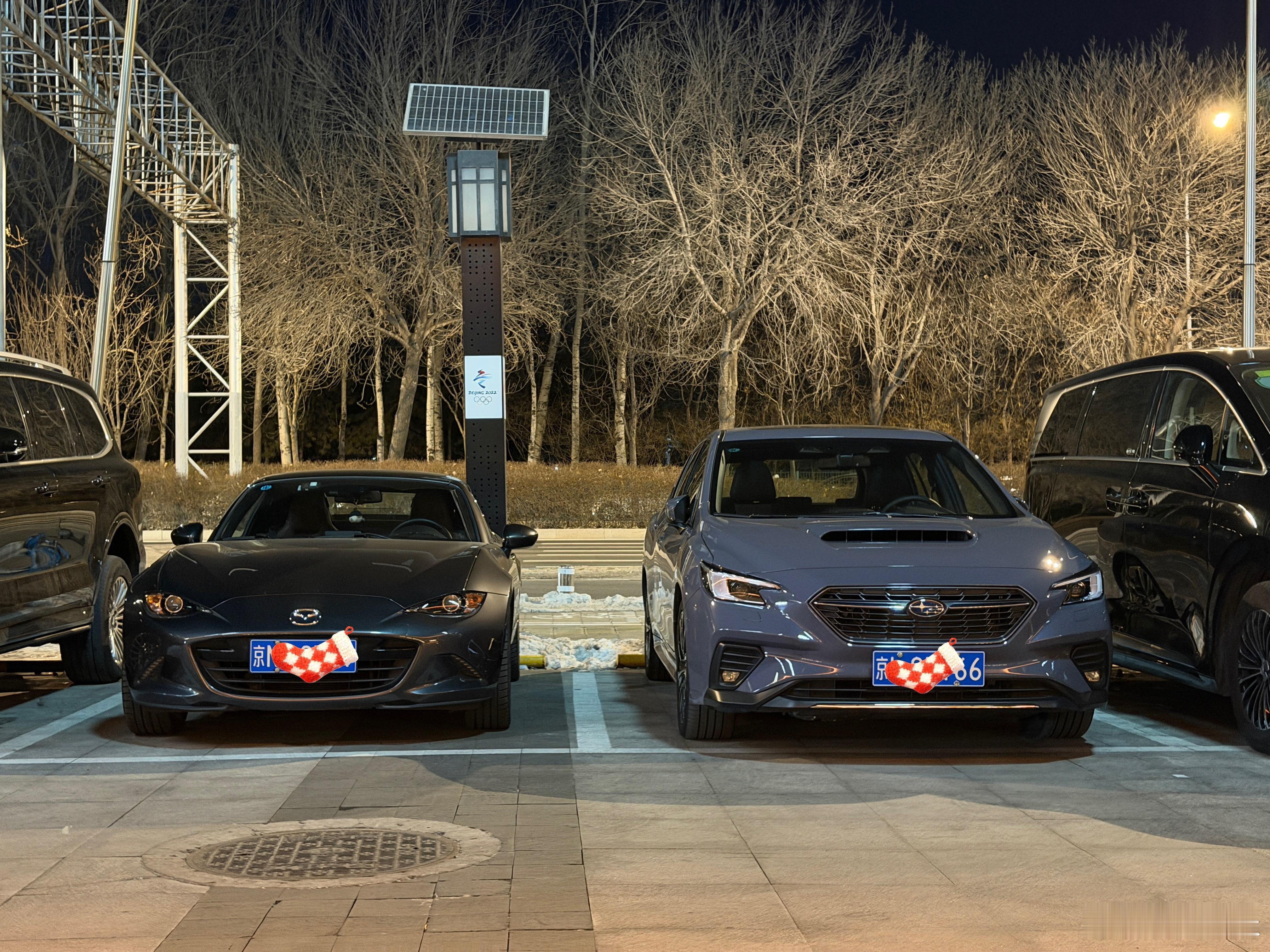 看看这是碰上哪位小伙伴了 北京·北京奥林匹克公园