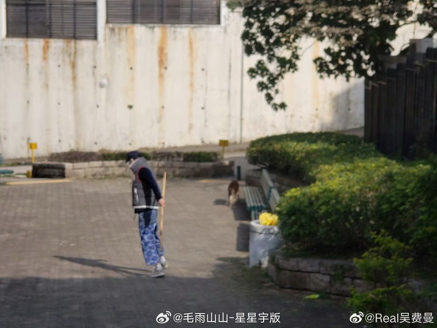 吴镇宇[超话]  男大与狗（第一张我还以为绳子牵着吴蒸鱼[二哈]）费曼什么时候发