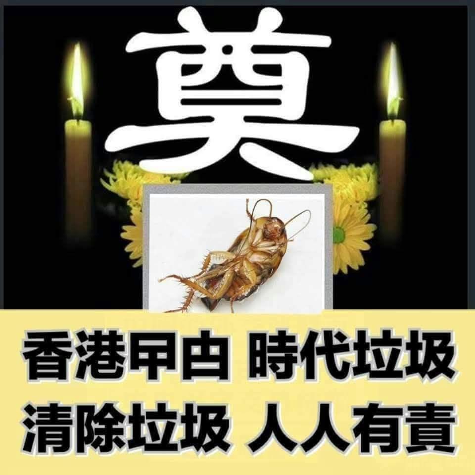 好消息！[鼓掌][鼓掌]
臭名昭著的祸港老曱甴林X基7月2日死了，台独头目赖清德