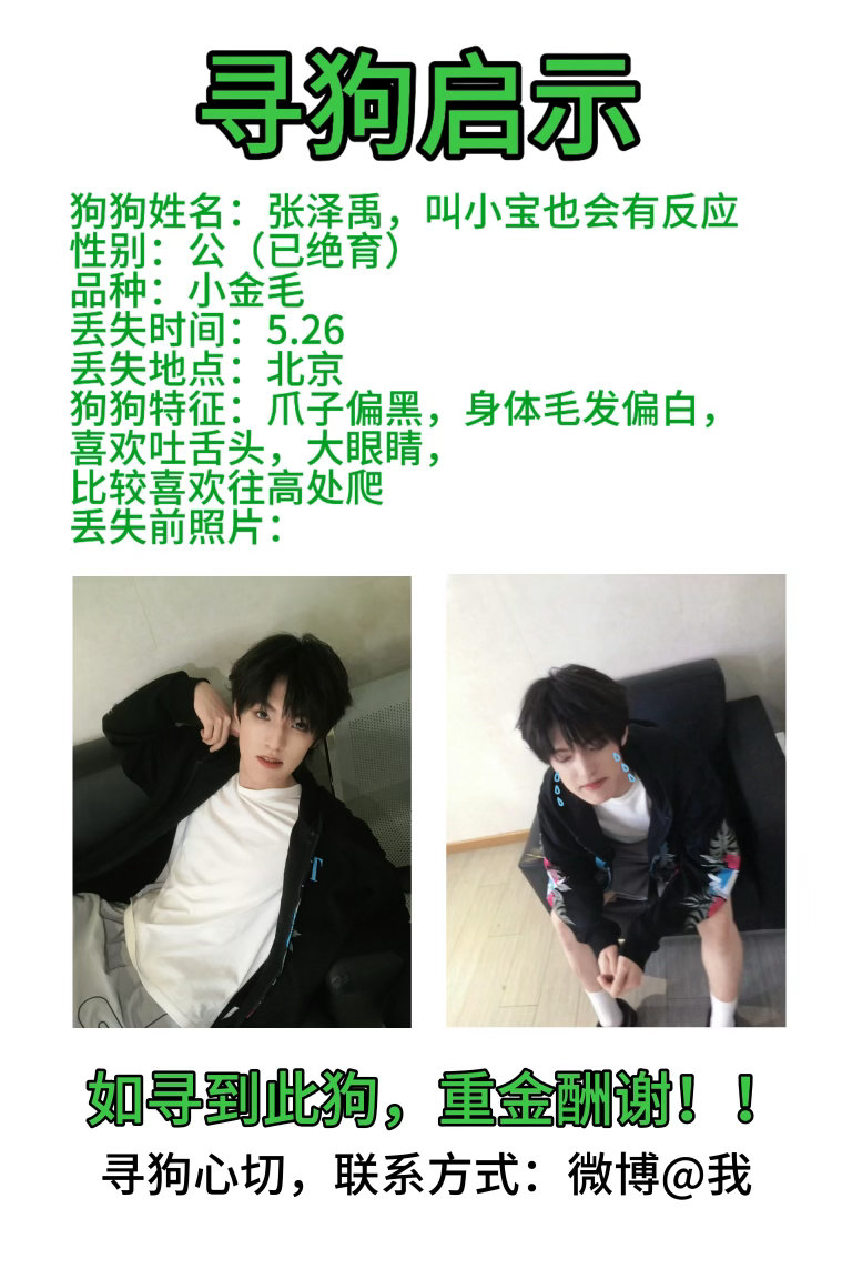大家有见到我的狗麻烦at我一下