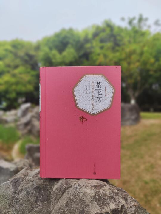 第639本：是的，阿雷没看过《茶花女》