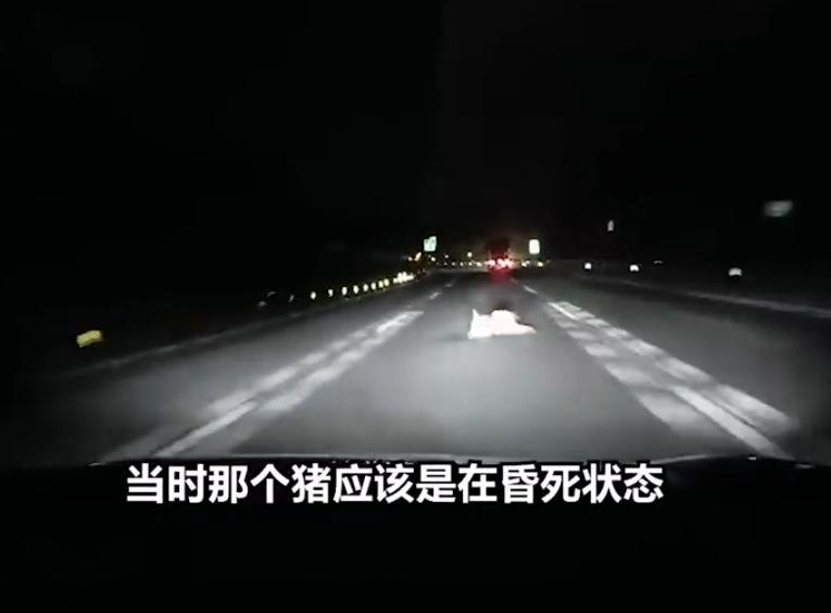福所祸所依，祸所福所伏。高兴大发了，不知道啥祸会从天而降。
前不久，广东佛山男子