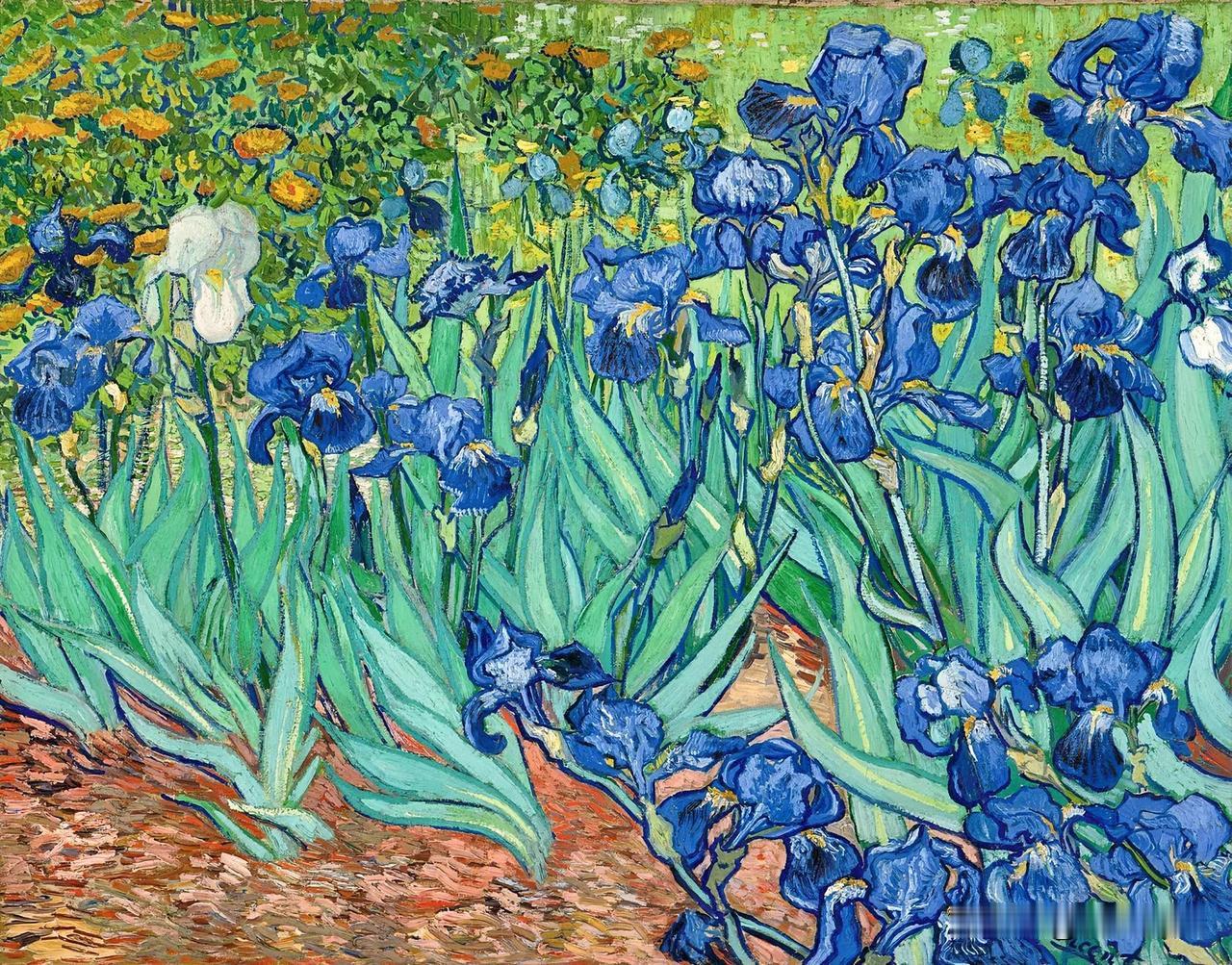 赏石 品佳作 
质、色、形、纹、韵 
油画《鸢尾花 》文森特·凡·高 作于188