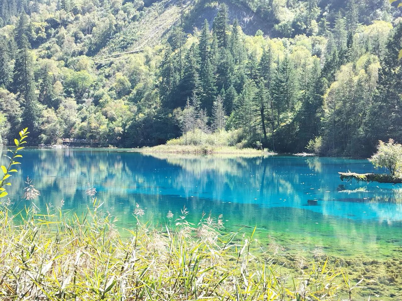 今年冬天的不同中大乐透一等奖