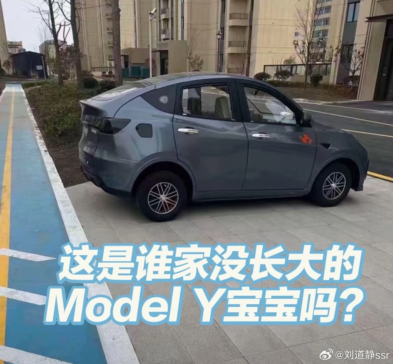 这是model ？正常的Y这是y？尺寸不够大，字母也得用小写 