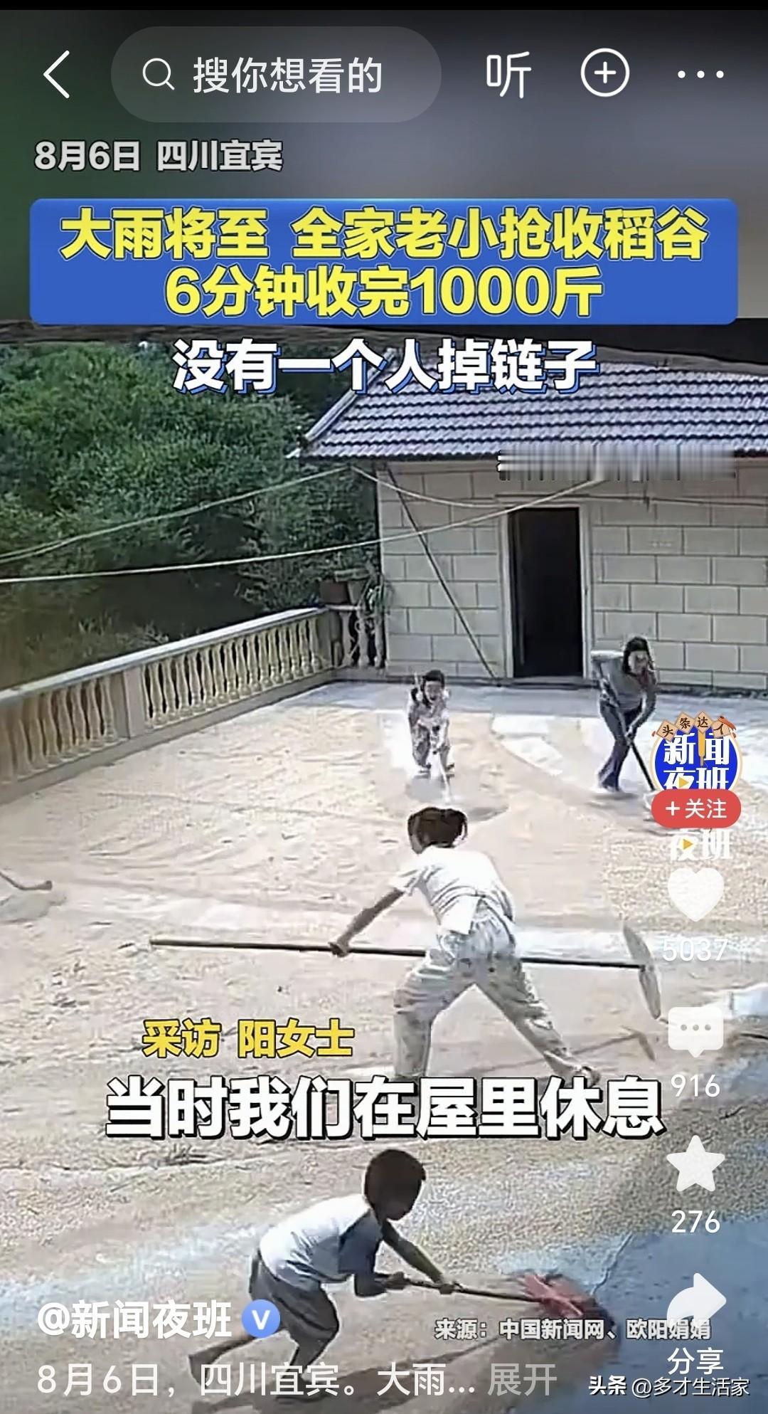 6分钟抢收千斤稻谷，勾起80后满满的童年回忆。
 
乌云密布，大雨将至，一家老小