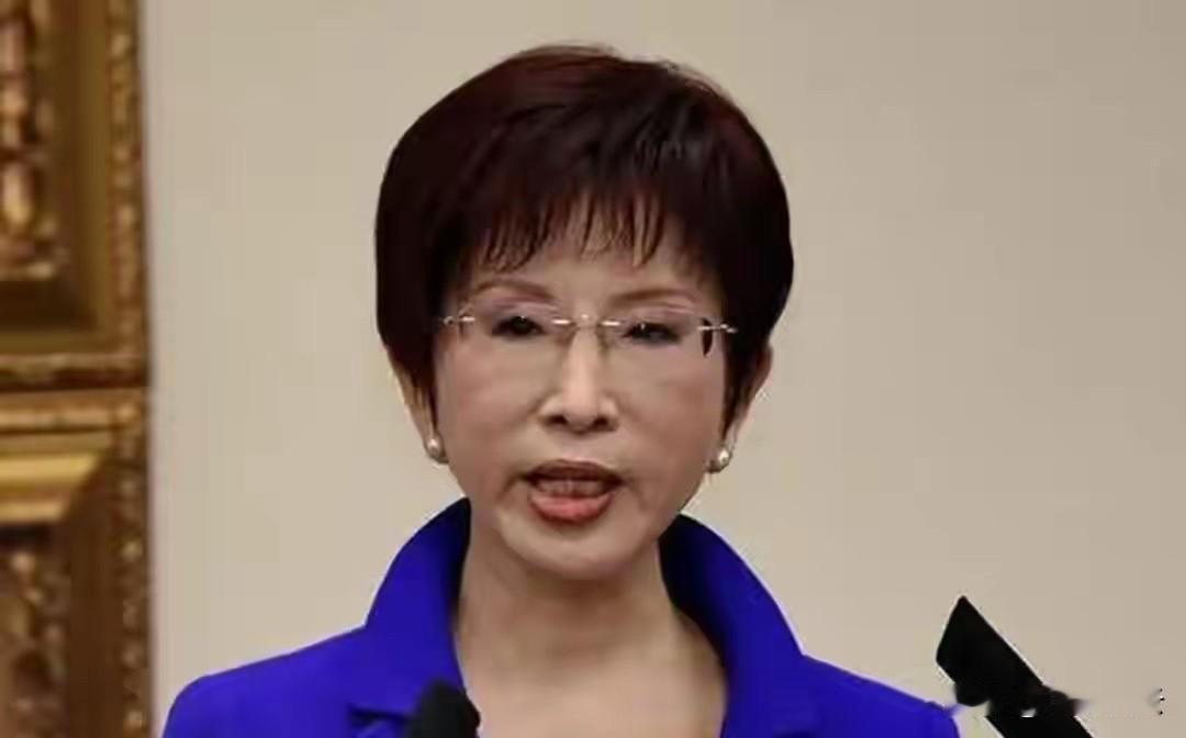 洪秀柱说中，台当局不敢登岛，解放军舰船已进台海，岛内兵源告急。
2026年7月，
