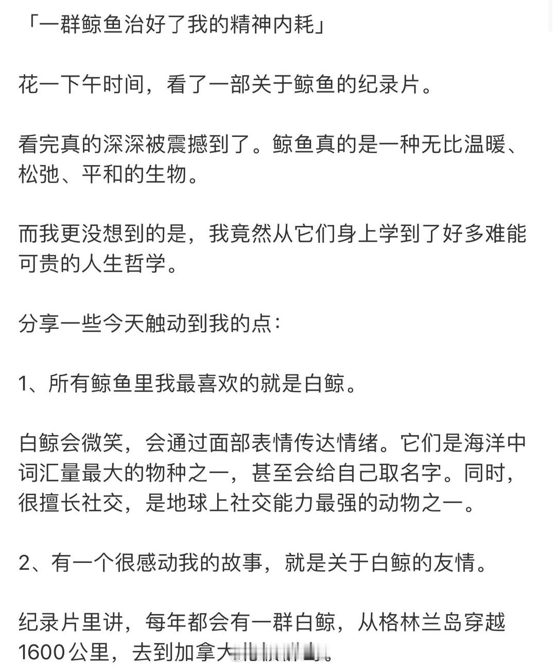 一群鲸鱼治好了我的精神内耗 ​​​