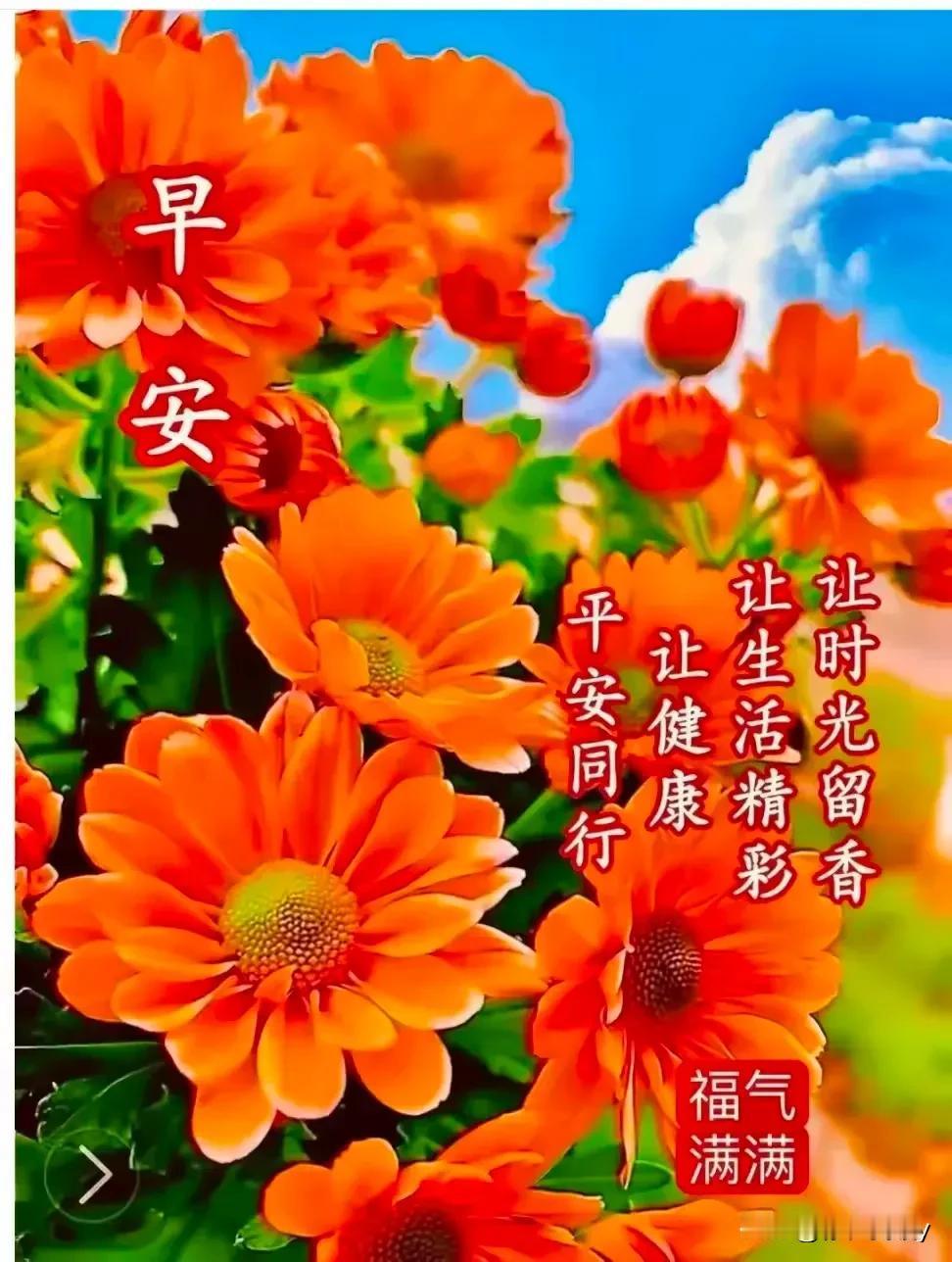 秋水长流映晚霞
菊花绽放送清香


  🌼💦🌼💦🌼💦🌼💦🌼
冬