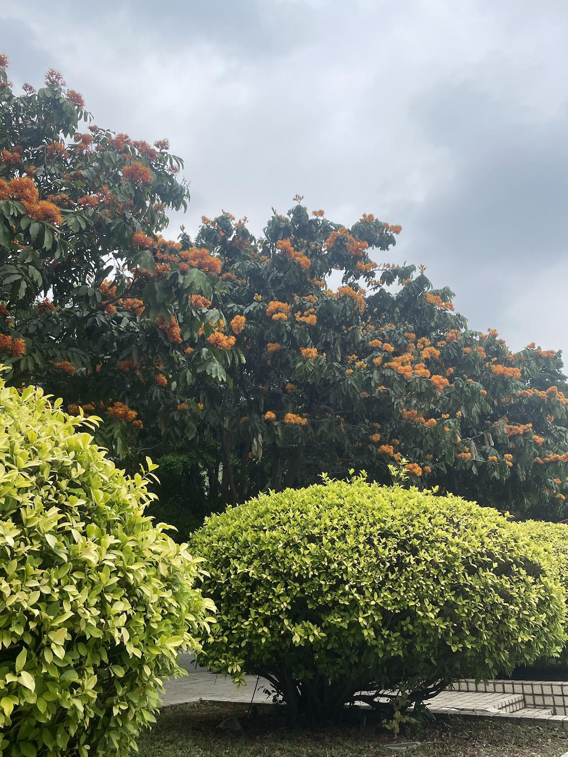 我的今日状态：😁轻松愉快
我这里的天气：🌤️多云