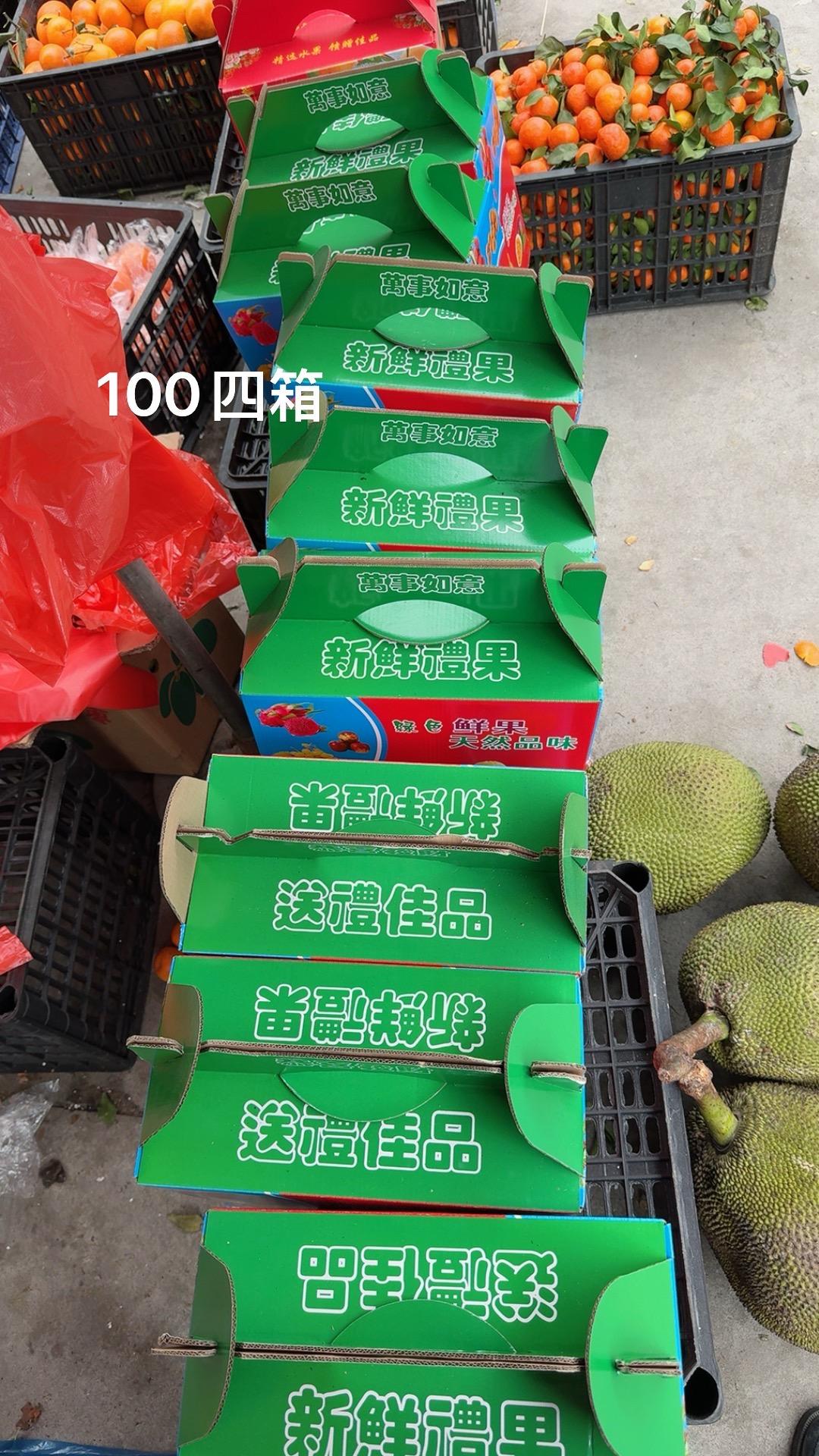 新年拍出超好运