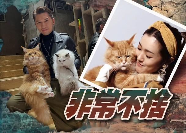 【On.cc】張寶兒愛貓悄然離逝　哭別：你任務完成藝人張寶兒乃愛貓之人，不過昨日