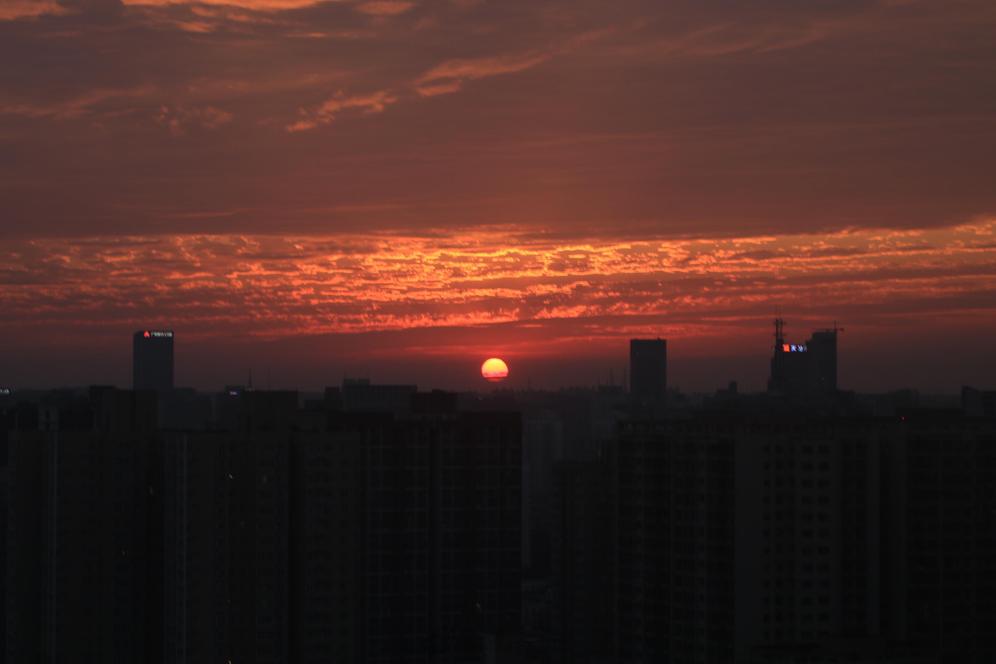 #馒头控的日常# 看来明天是要晴了。 ​​​