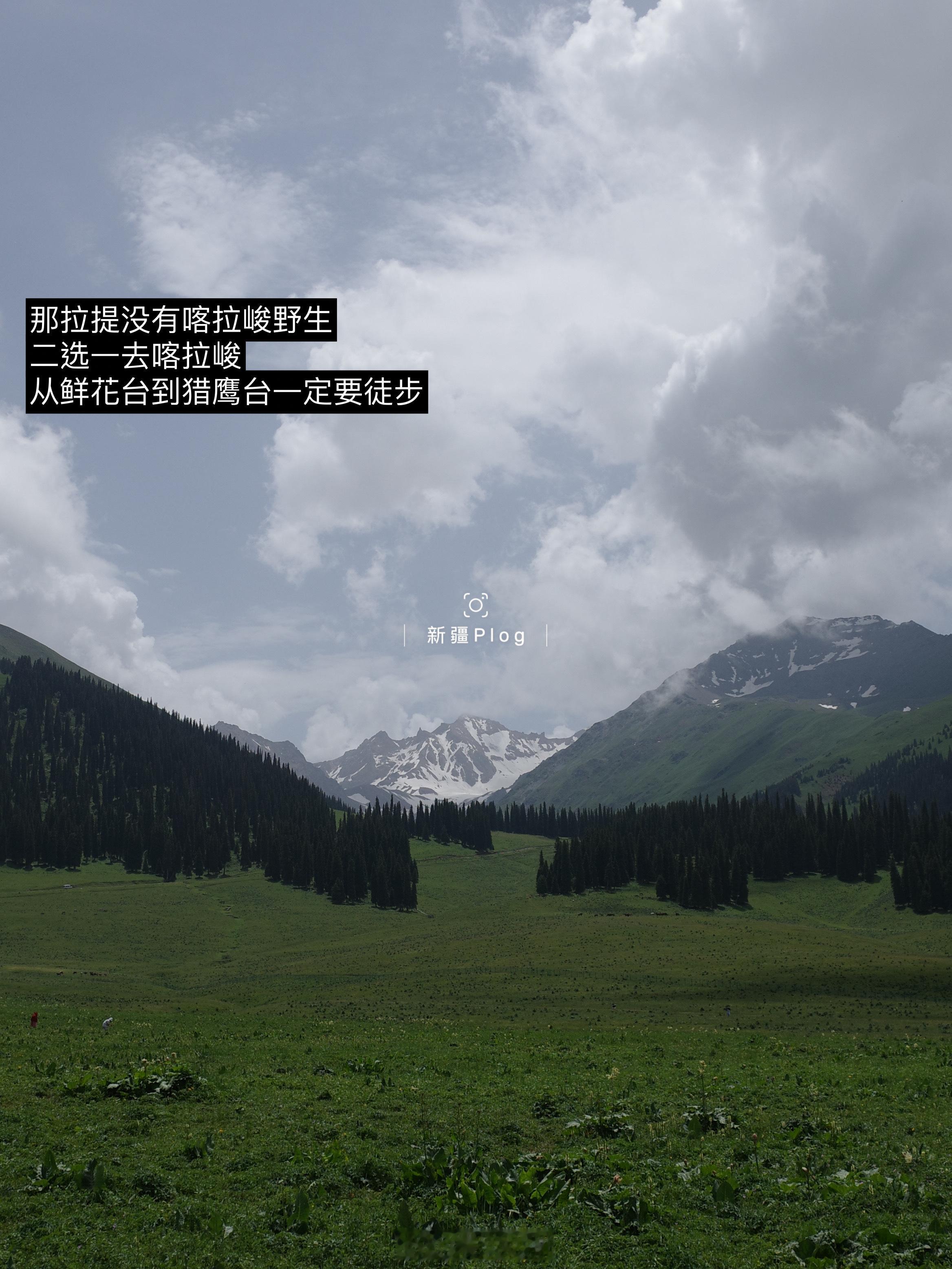 plog 新疆Day6-7，从喀拉峻高山草原到那拉提平地草原，独库公路封了，不去