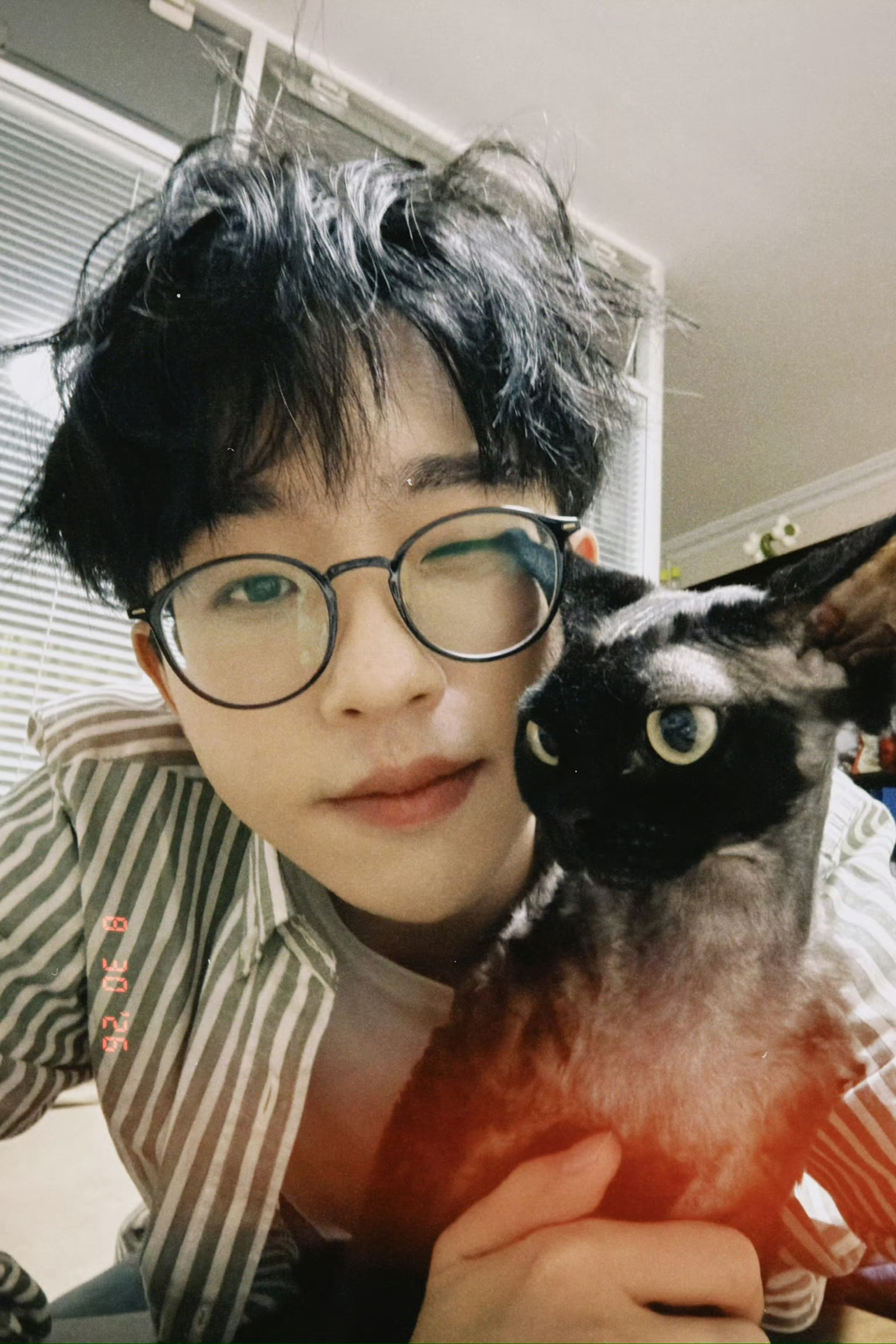 德文小猫和他的人类大猫😽🤏🏻 ​  ​​​