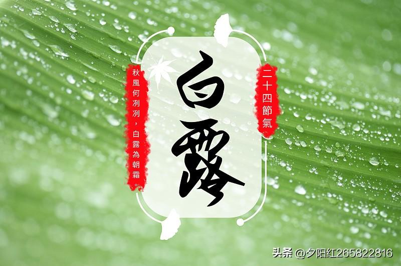 上联:风吹白露凉
下联:月照寒露清