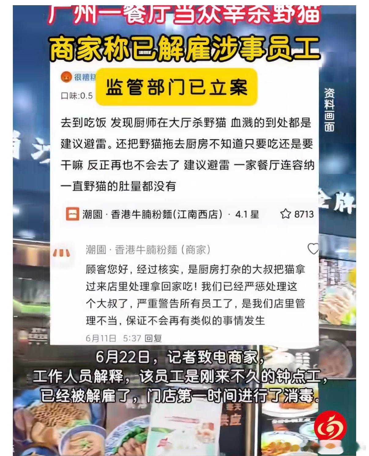 广州一餐厅当众宰杀野猫被立案广州这家粉面店的事，真的让人看得很不舒服。餐饮店最基