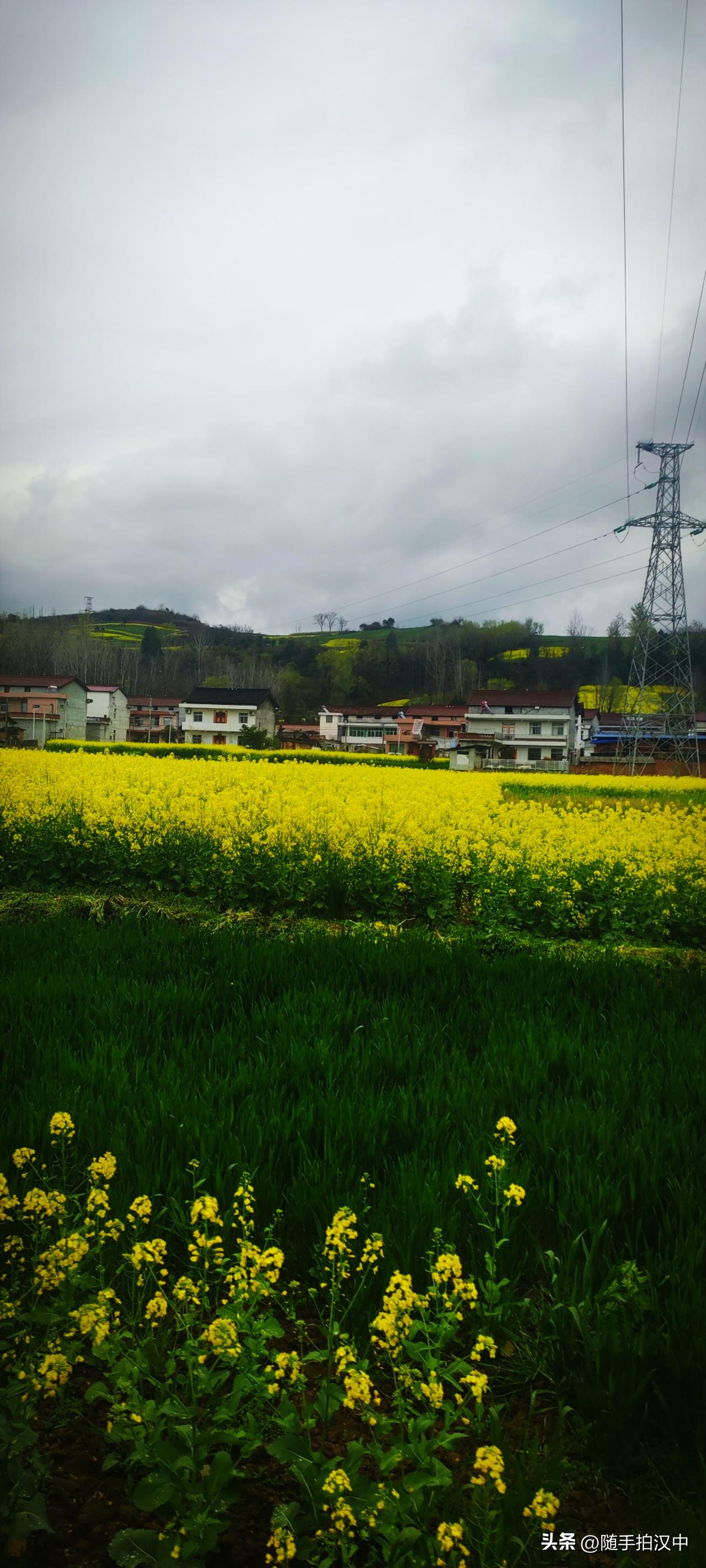 “暧暧远人村，依依墟里烟。 狗吠深巷中，鸡鸣桑树颠。”再好一个地方，即使有山有水