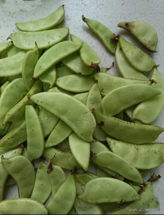 这是什么菜？说是青菜吧，它又没有叶子，说不是青菜吧，它又是绿色的，也不知道这是什