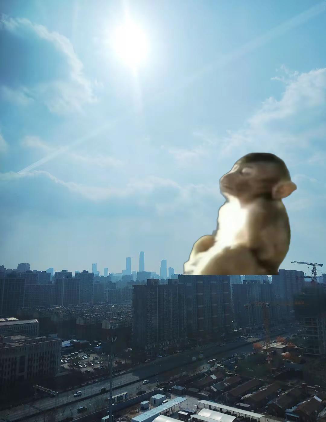 济南终于出太阳了！🌞。太阳 济南 天气 打工人