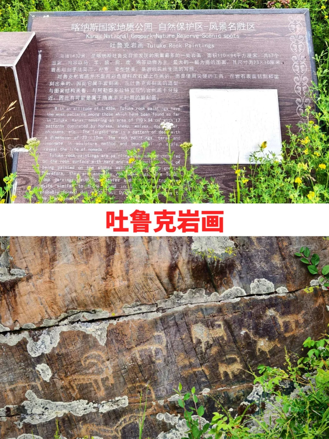 喀纳斯徒步攻略，体验与众不同的观景之旅