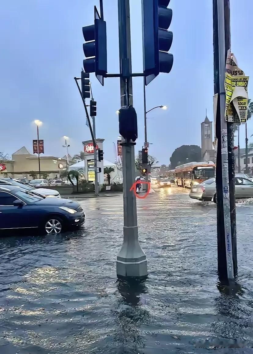 洛杉矶这场燃烧38天的大火终于被暴雨浇灭，却留下满目疮痍——1.53万公顷焦土、