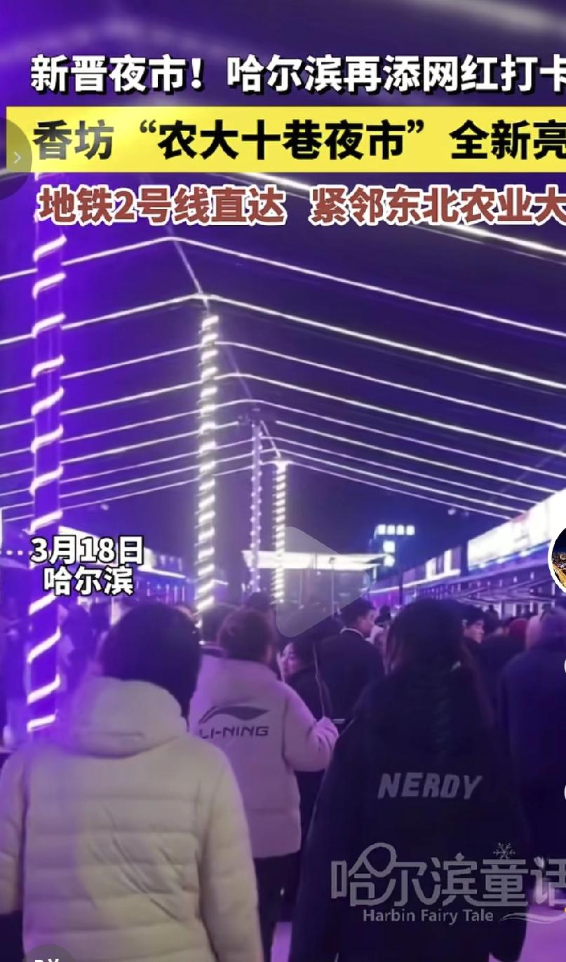 好消息，哈尔滨又新添一个夜市！名字叫做农大十巷夜市，可谓是一个新晋的网红打卡地。