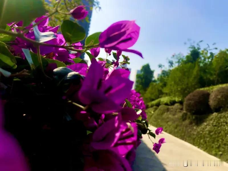 人生最大的敌人是谁？我问过不少朋友，有人说是商场上的对手，有人觉得是感情里的背叛