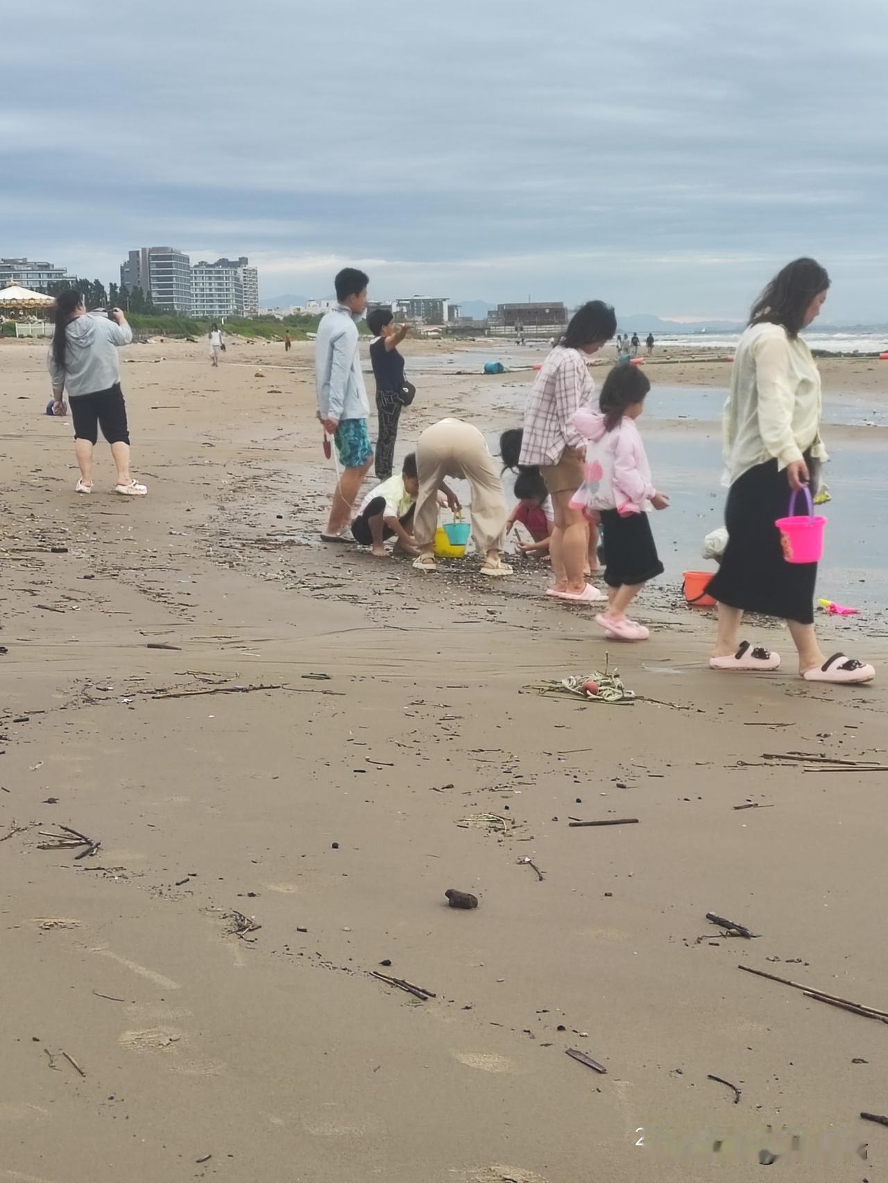清晨的沙滩温柔安静，大人带着孩子提着小桶赶海拾贝。蹲在湿软沙地上细细翻找，偶尔挖