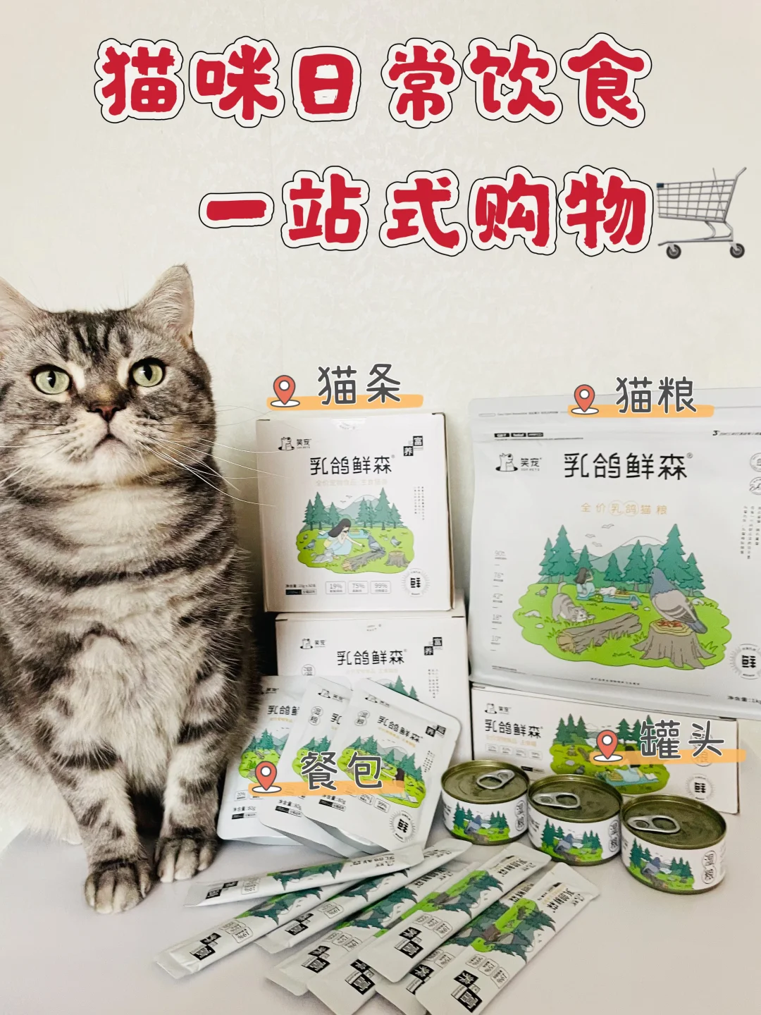 猫咪日常饮食，一站式购物🛒