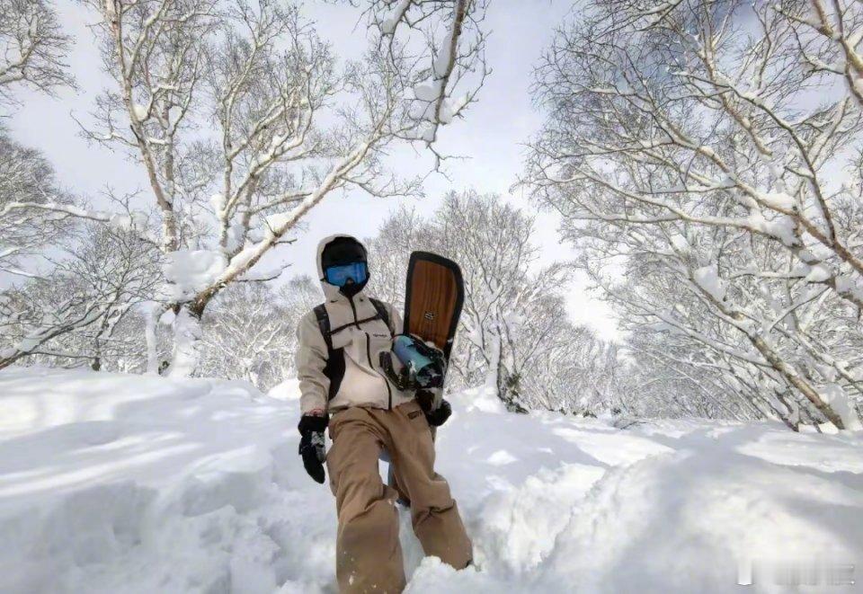 谢霆锋和Lucas一起滑雪 44岁谢霆锋发布和儿子Lucas一起滑雪的照片，照片