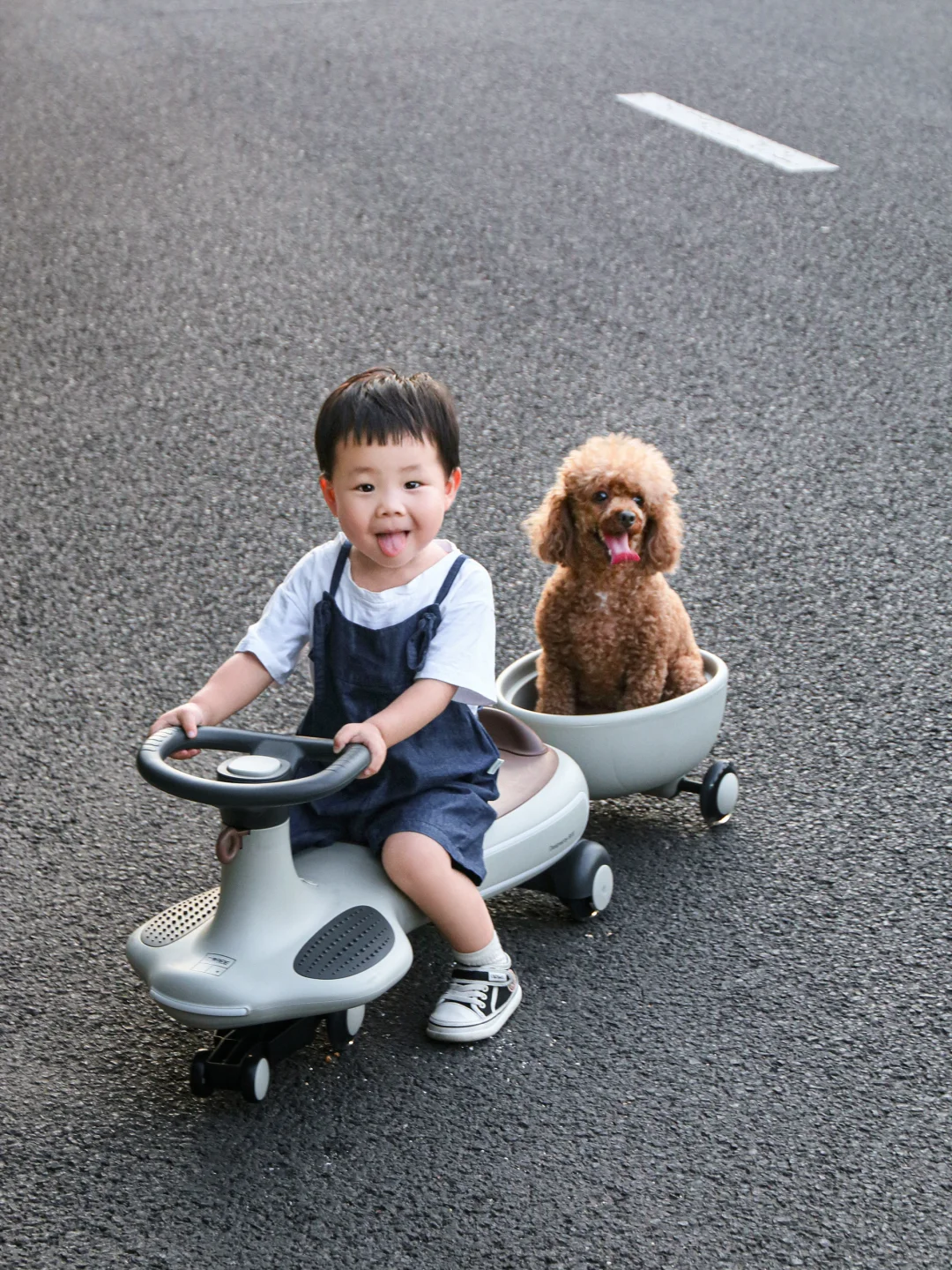 绝了！小孩和小狗都爱的扭扭车！