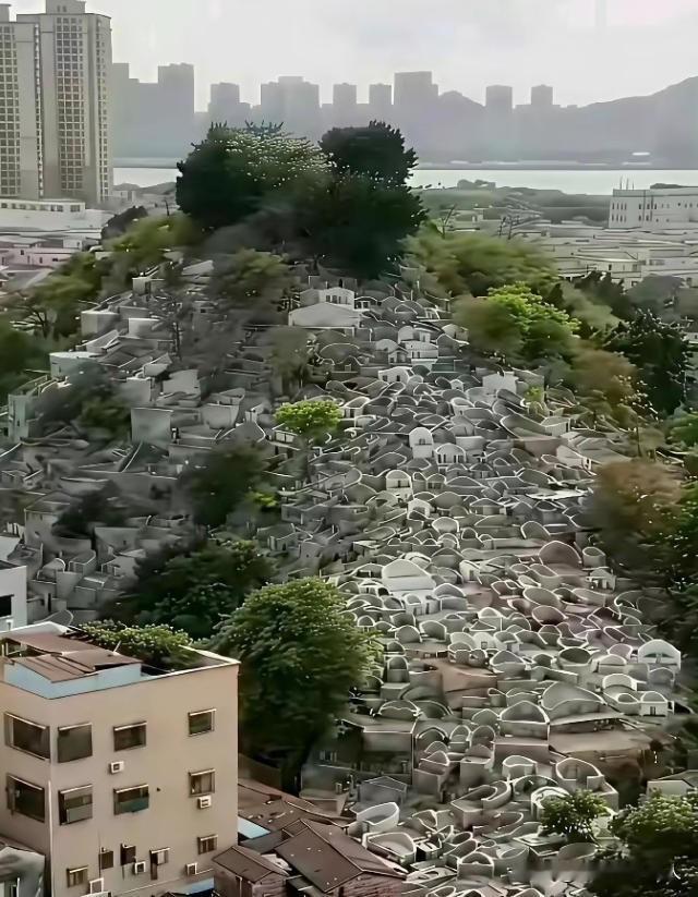 从有土葬开始中国死了几十亿人，耕地也没被塞满！占山头、卖墓穴是从火葬开始的。
