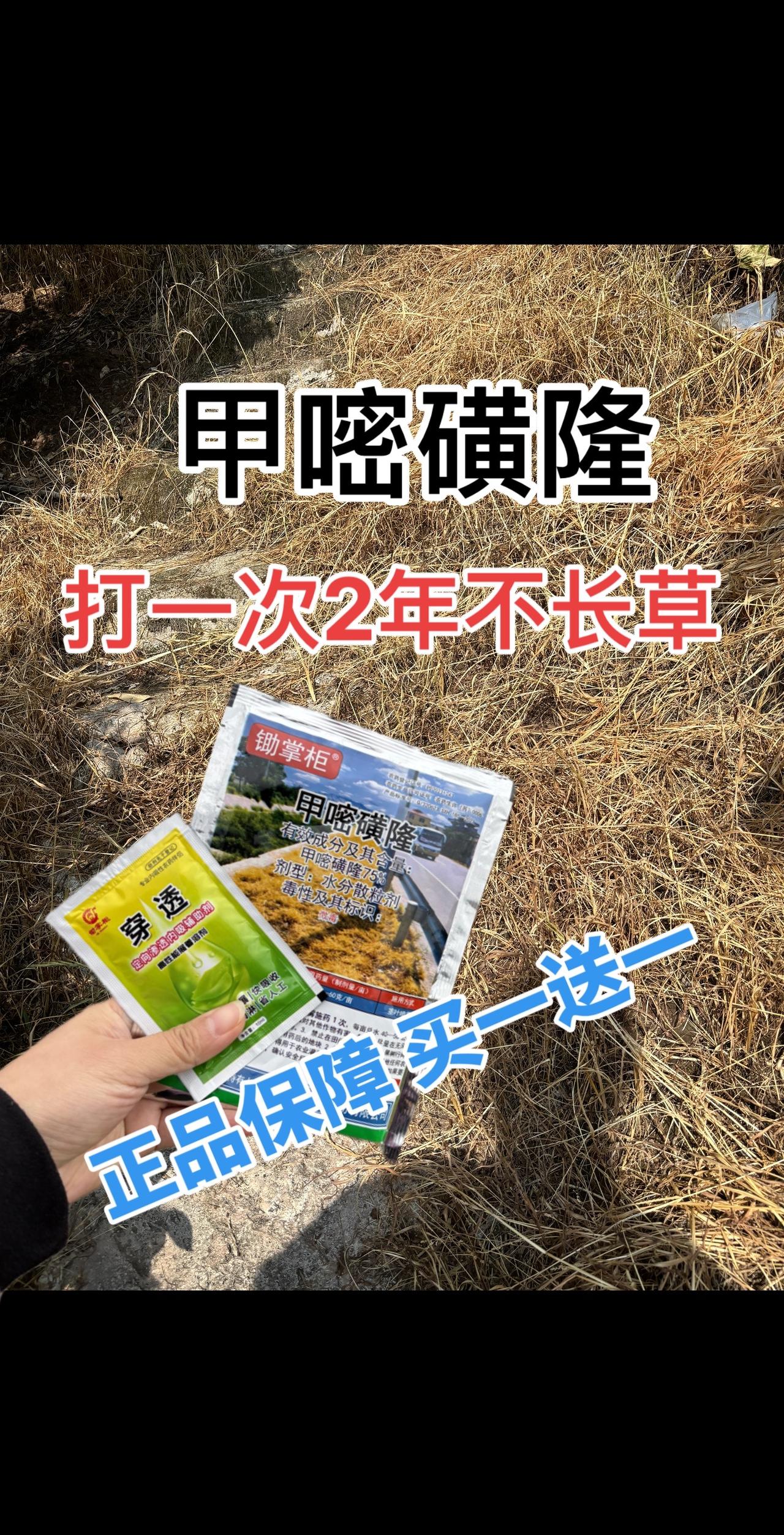 使用一次持效2年公路除草剂 三农流量扶持计划